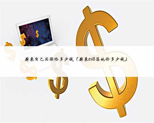 蔚来自己买保险多少钱（蔚来es8落地价多少钱）