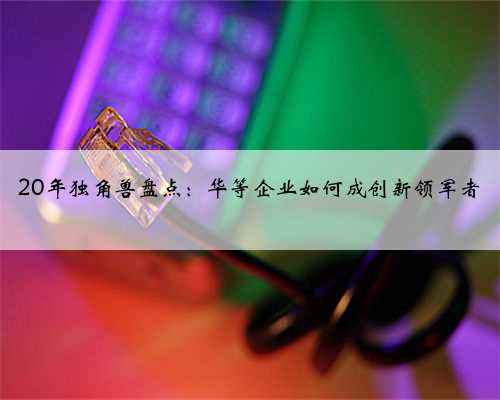 20年独角兽盘点：华等企业如何成创新领军者