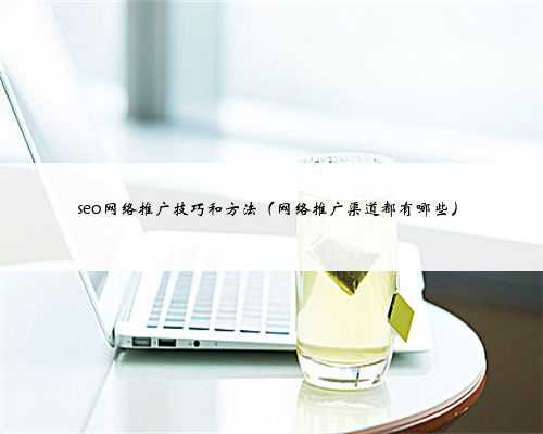 seo网络推广技巧和方法（网络推广渠道都有哪些）