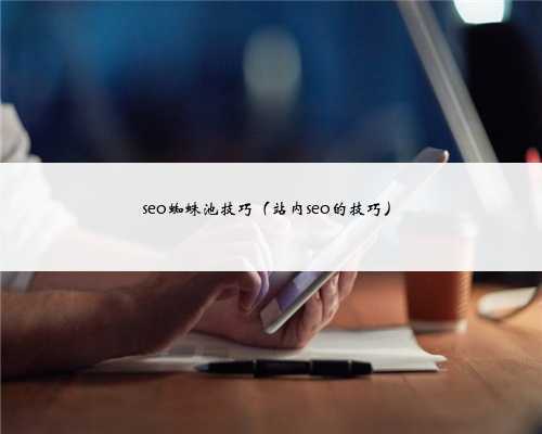 seo蜘蛛池技巧(站内seo的技巧)