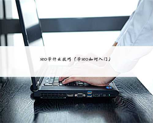 seo学什么技巧（学seo如何入门）