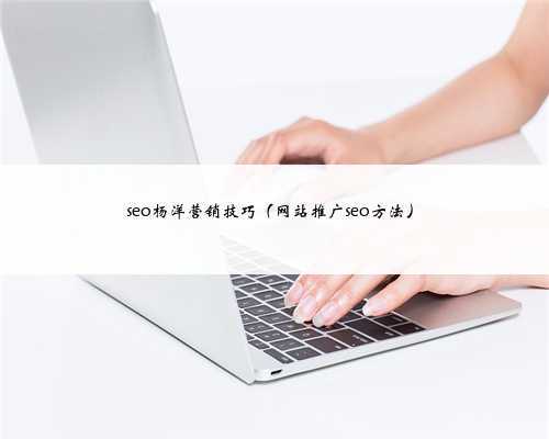 seo杨洋营销技巧（网站推广seo方法）