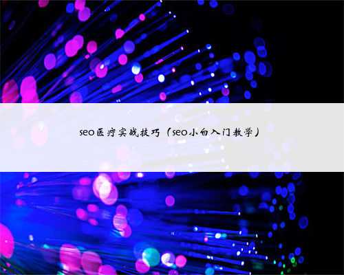seo医疗实战技巧（seo小白入门教学）