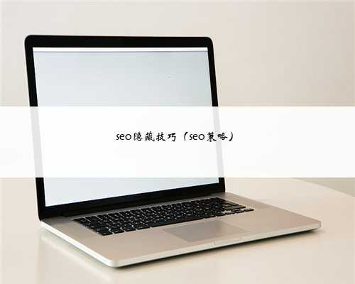 seo隐藏技巧(seo策略)