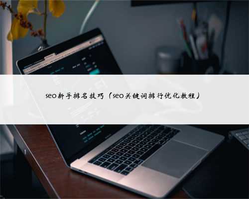 seo新手排名技巧（seo关键词排行优化教程）