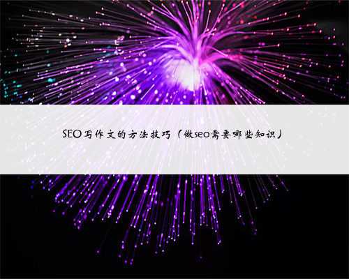 SEO写作文的方法技巧（做seo需要哪些知识）