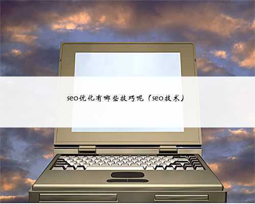 seo优化有哪些技巧呢（seo技术）