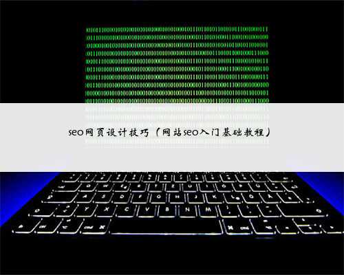 seo网页设计技巧（网站seo入门基础教程）