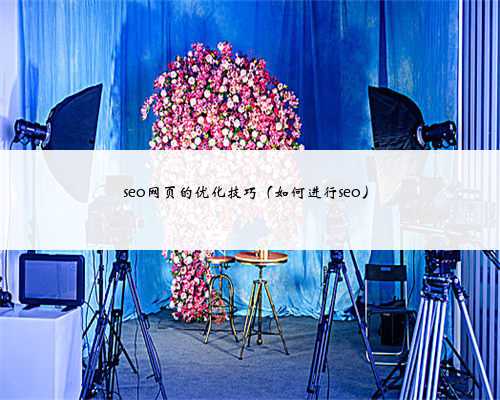 seo网页的优化技巧（如何进行seo）