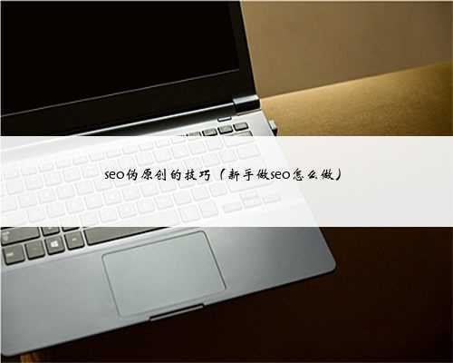 seo伪原创的技巧（新手做seo怎么做）