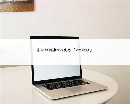 <b>专业短视频seo技巧（seo教程）</b>