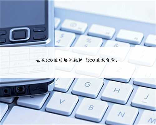 云南seo技巧培训机构（seo技术自学）