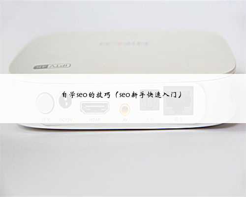 <b>自学seo的技巧（seo新手快速入门）</b>