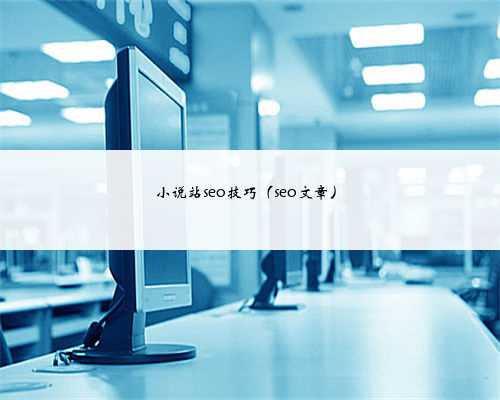 小说站seo技巧（seo文章）