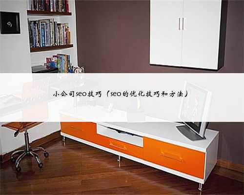 <b>小公司seo技巧（seo的优化技巧和方法）</b>