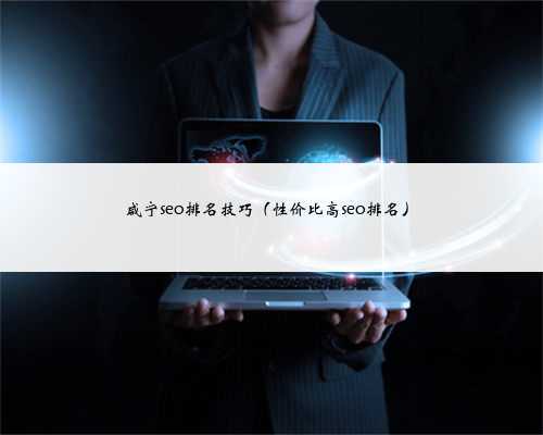 咸宁seo排名技巧（性价比高seo排名）