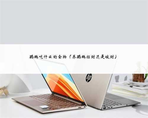 鹦鹉吃什么的食物（养鹦鹉招财还是破财）