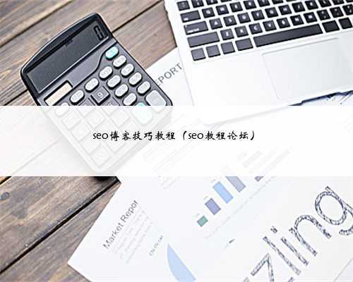 seo博客技巧教程（seo教程论坛）