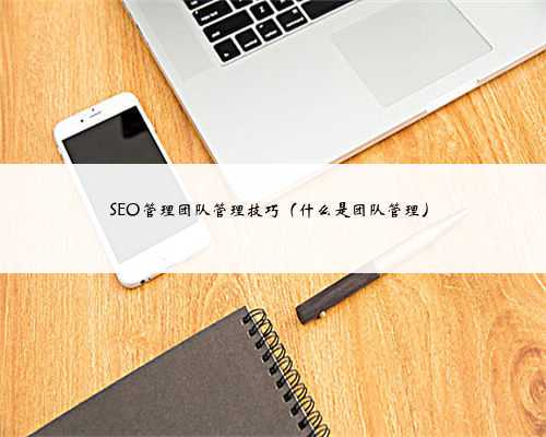 SEO管理团队管理技巧（什么是团队管理）