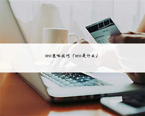 seo策略技巧（seo是什么）