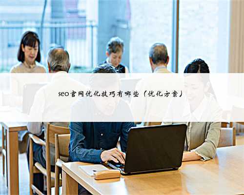 seo官网优化技巧有哪些（优化方案）