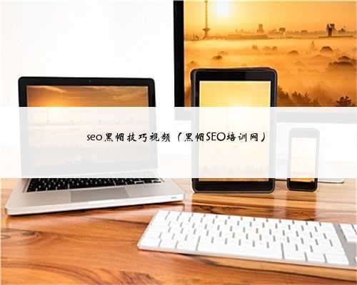 seo黑帽技巧视频（黑帽SEO培训网）