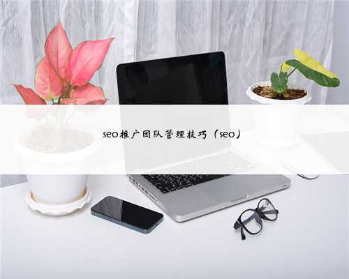 seo推广团队管理技巧（seo）