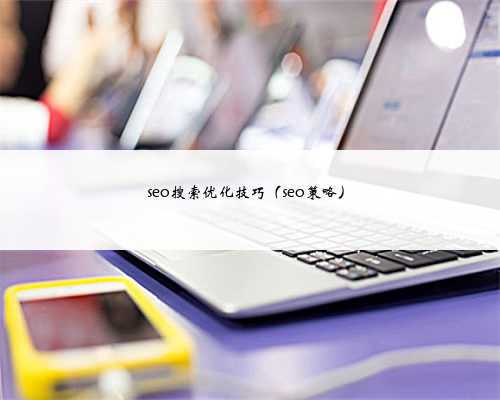 seo搜索优化技巧（seo策略）