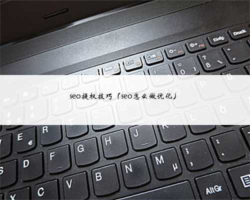 seo提权技巧（seo怎么做优化）