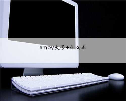 amoy大号 什么车