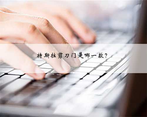 特斯拉剪刀门是哪一款？