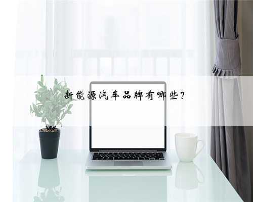 <b>新能源汽车品牌有哪些？</b>