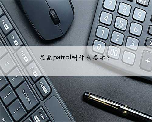 尼桑patrol叫什么名字？