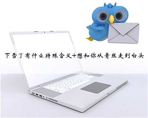 下雪了有什么特殊含义 想和你从青丝走到白头