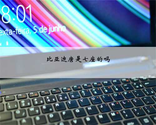 比亚迪唐是七座的吗