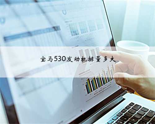 宝马530发动机排量多大