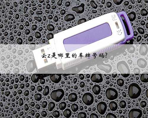云z是哪里的车牌号码?