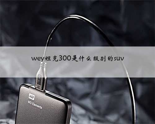 wey坦克300是什么级别的suv