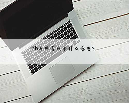 hb车牌号代表什么意思？
