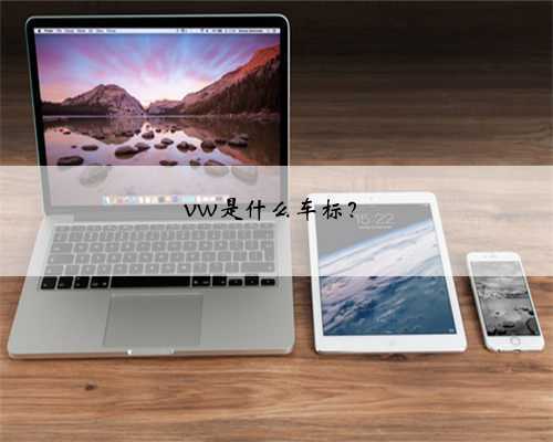 vw是什么车标？