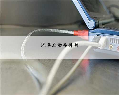 汽车启动后抖动