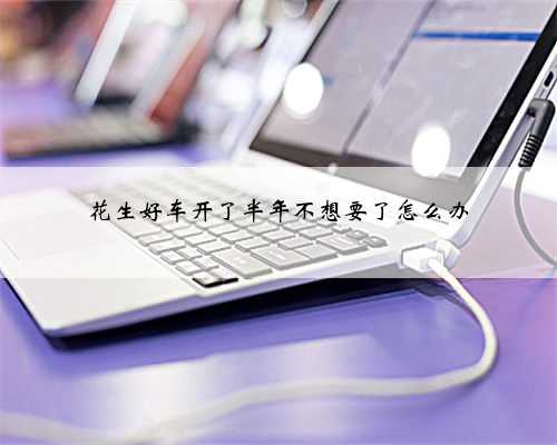 花生好车开了半年不想要了怎么办