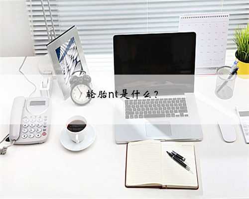 轮胎nt是什么?