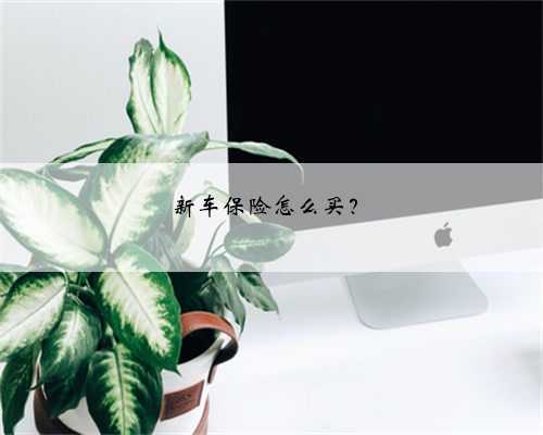 新车保险怎么买？