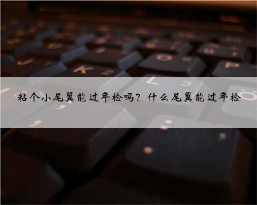 粘个小尾翼能过年检吗？什么尾翼能过年检
