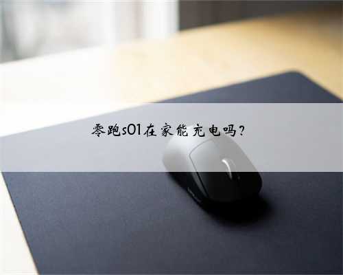 零跑s01在家能充电吗？