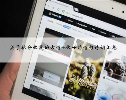 关于秋分收获的古诗 秋分的诗句诗词汇总