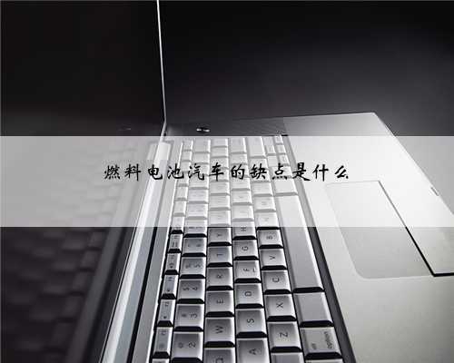 <b>燃料电池汽车的缺点是什么</b>