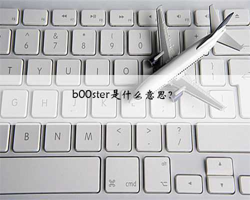 <b>b00ster是什么意思？</b>
