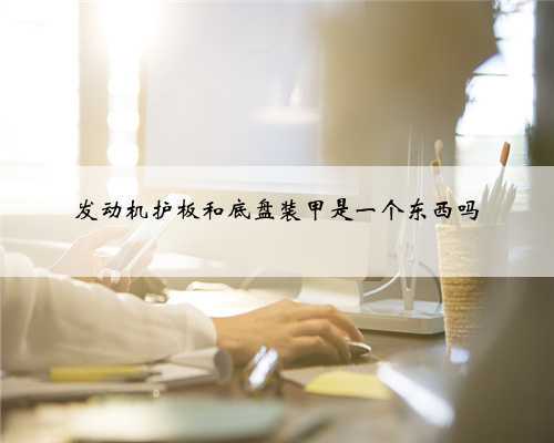 发动机护板和底盘装甲是一个东西吗